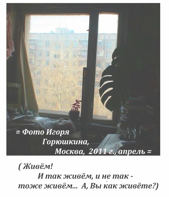    (=!?=)  ,  , 2011 .,   ,   ,   ? 2011 .,  ,  ,  ,   ,      , , 2017 .