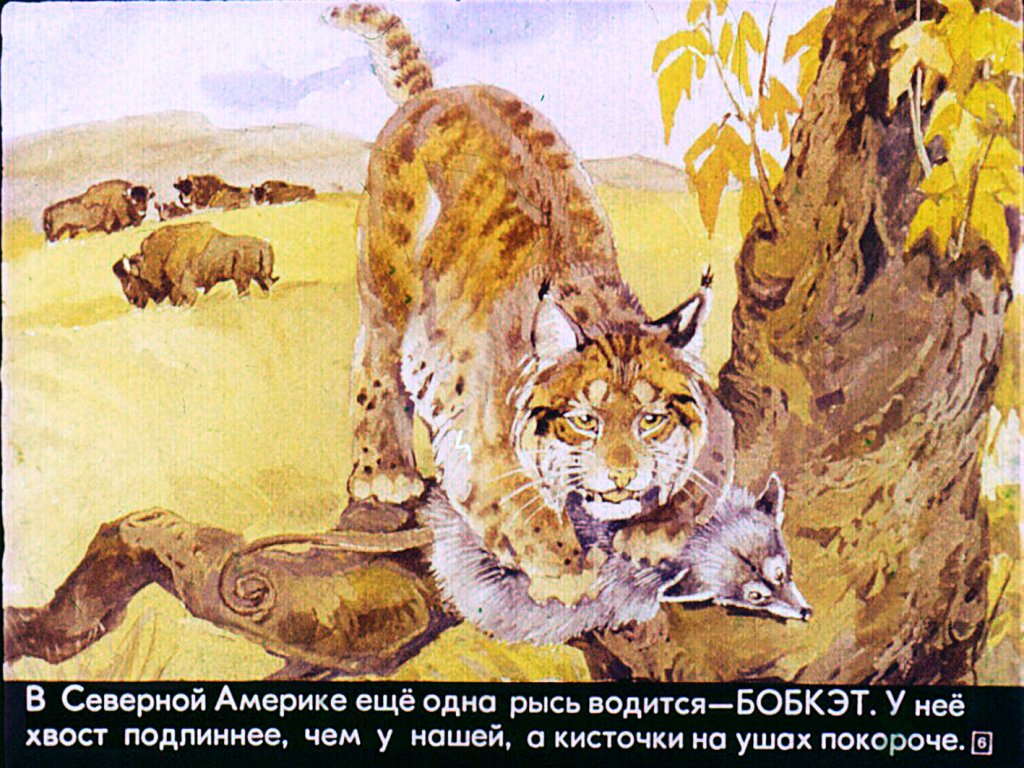 ���� [����������]