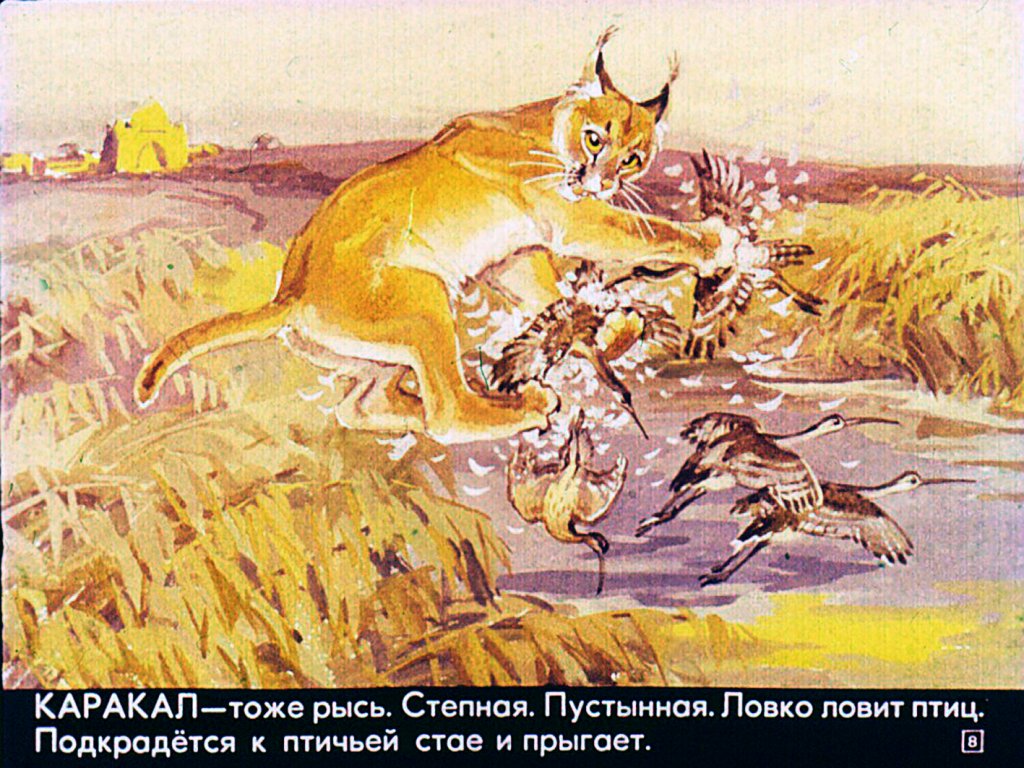 ������� [����������]