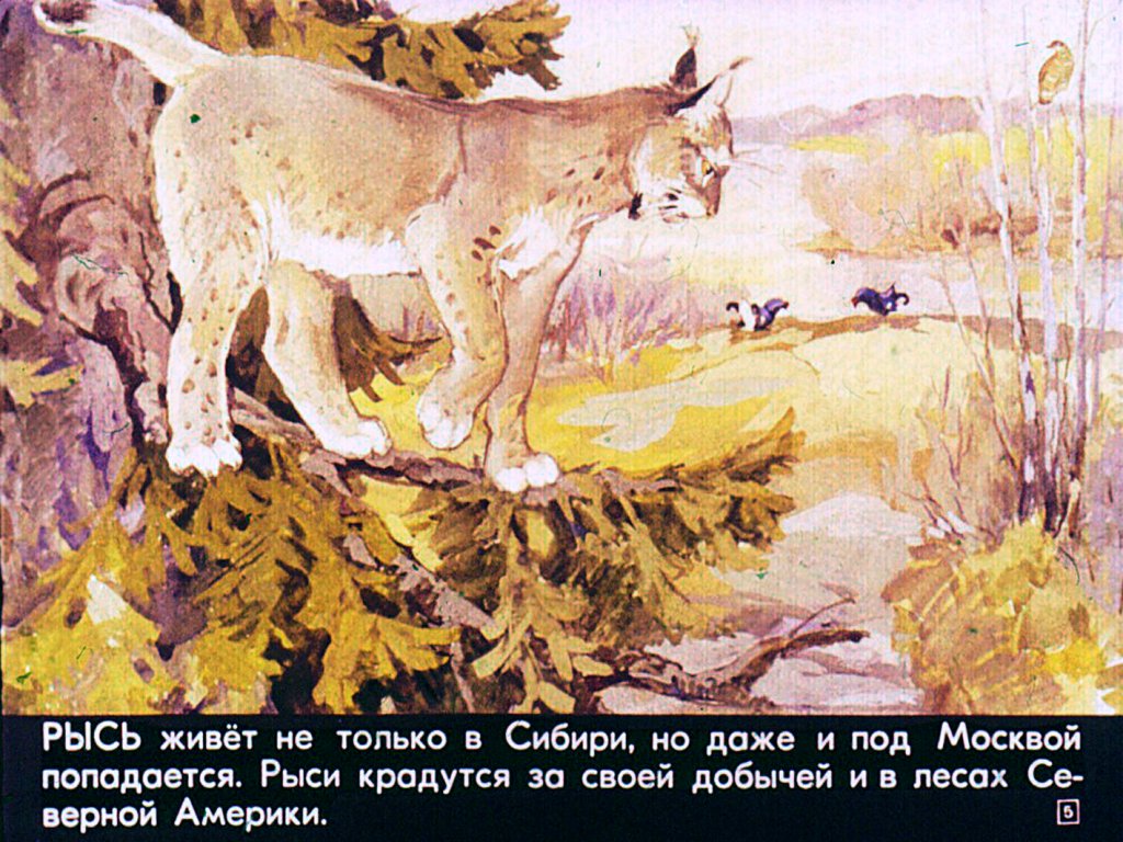 ����-1 [����������]