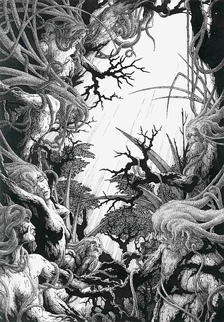  [��� ����������]