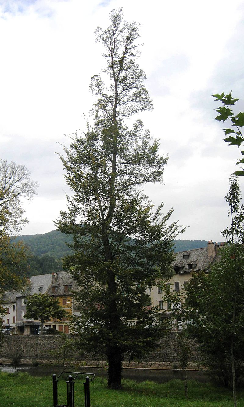  [���������]