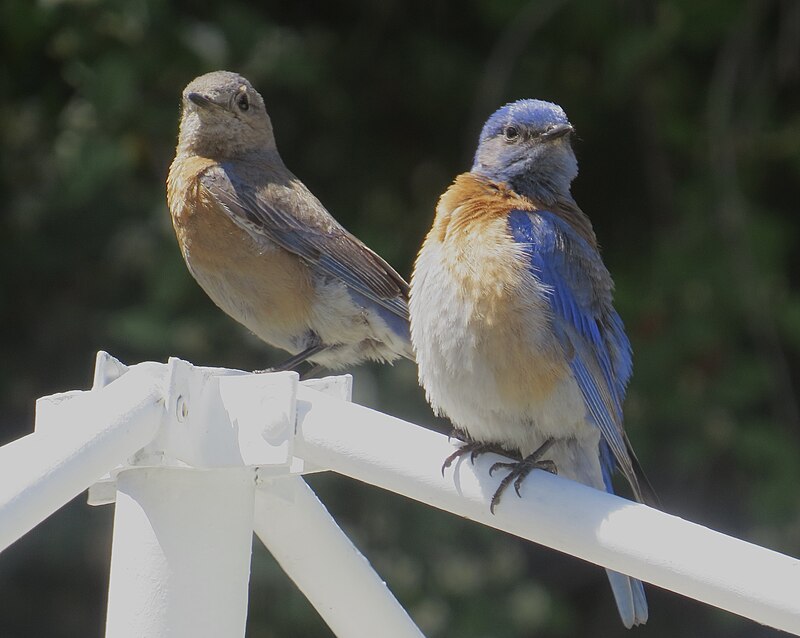  [���������]