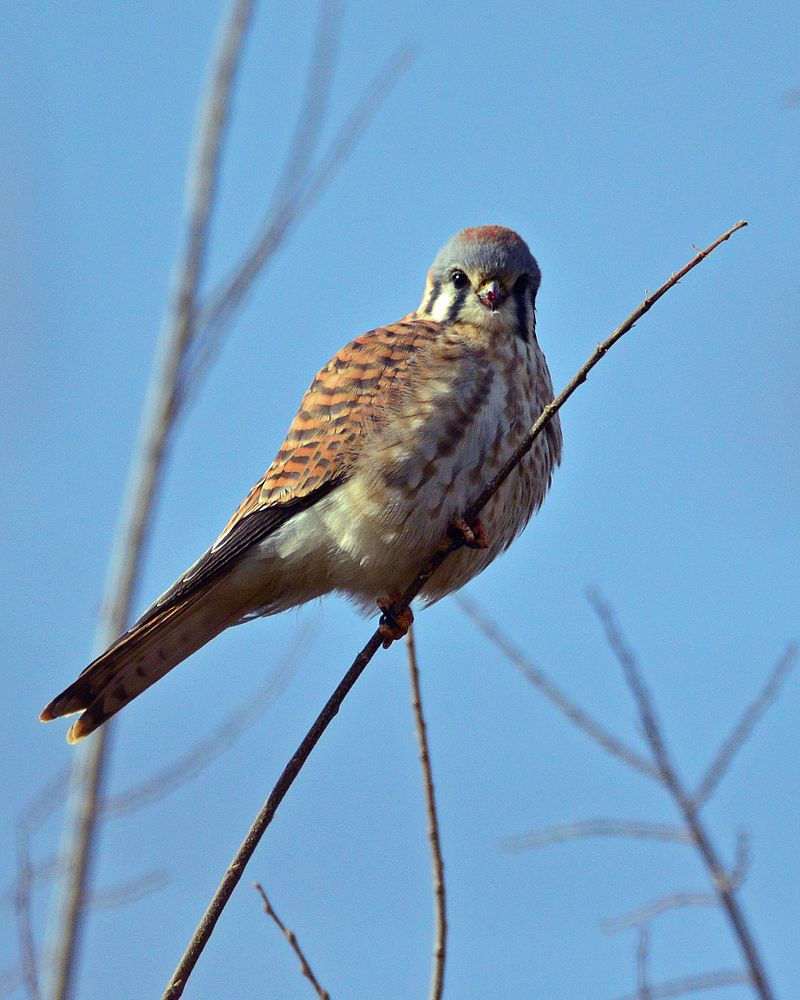  [���������]