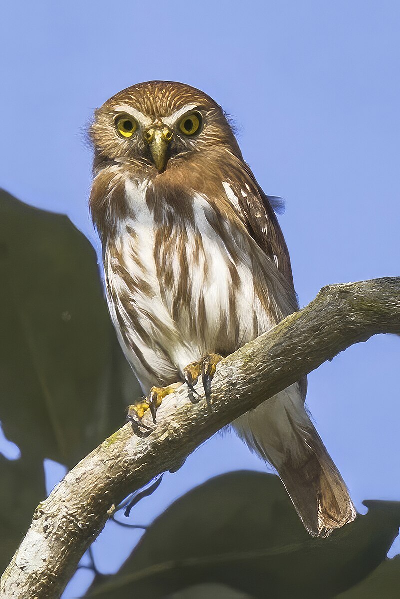  [���������]