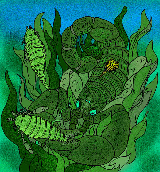 ������������� [���������]