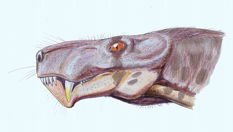 ��������� [���������]