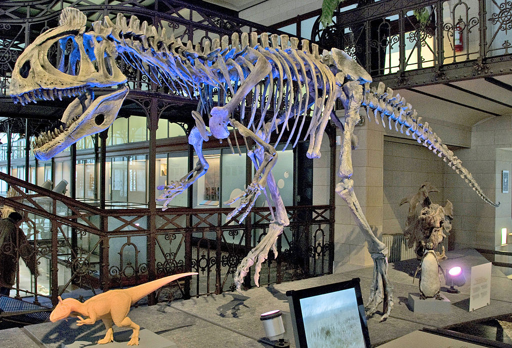 ������������ [���������]