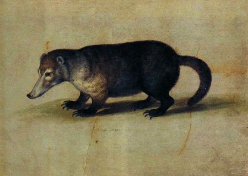  [���������]