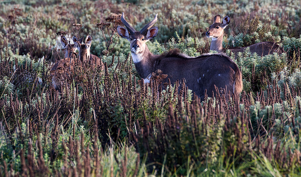  [���������]