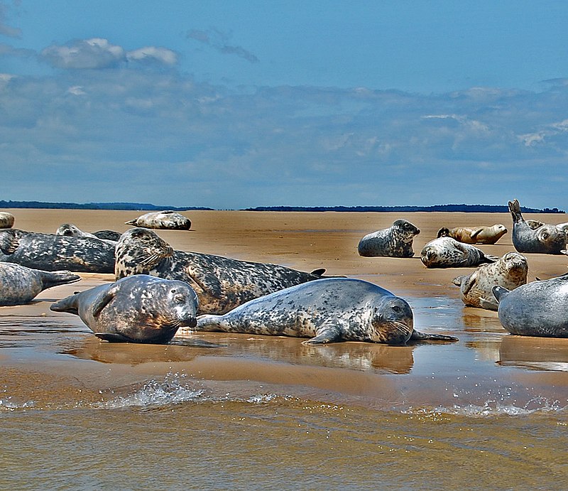  [���������]