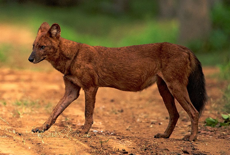  [���������]