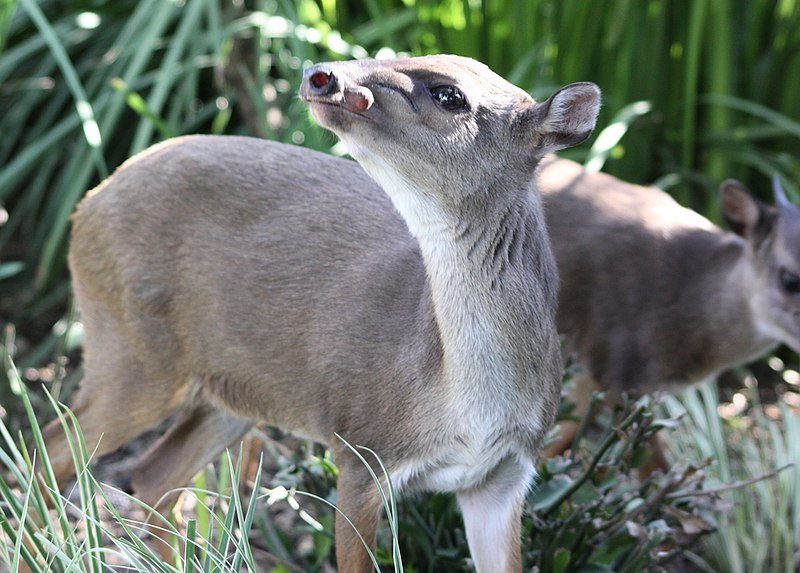  [���������]