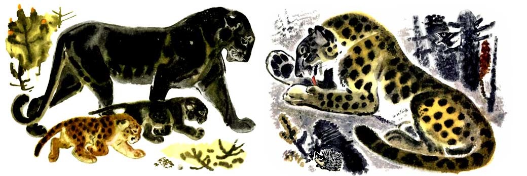  [�. �������]