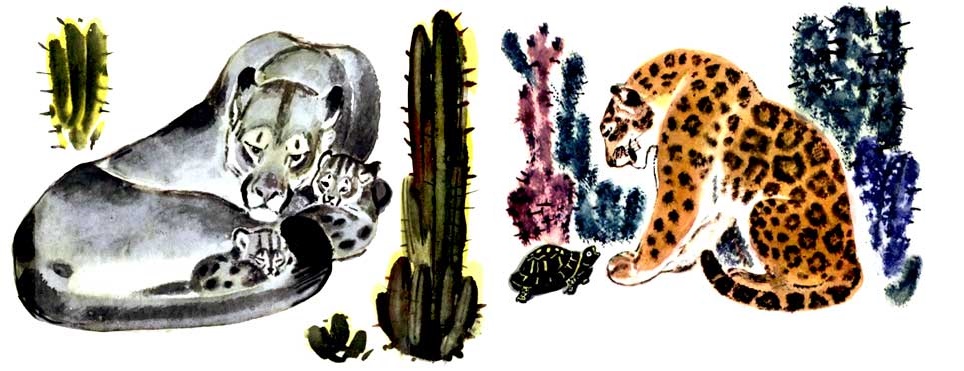  [�. �������]