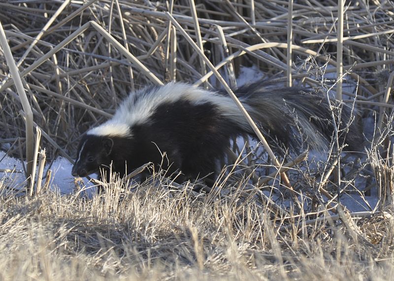  [���������]