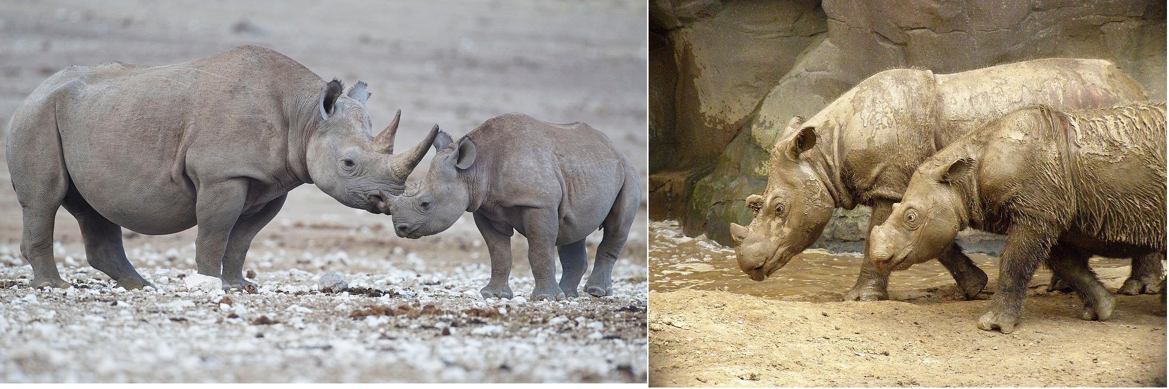  [���������]