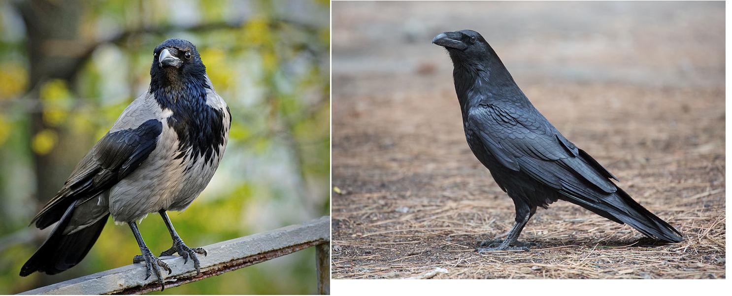 ������ � ����� [���������]