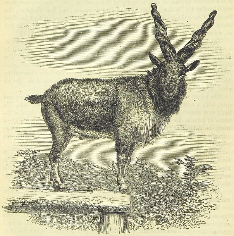  [���������]