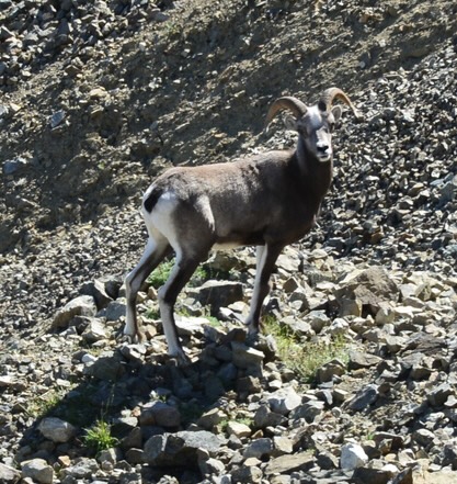  [���������]