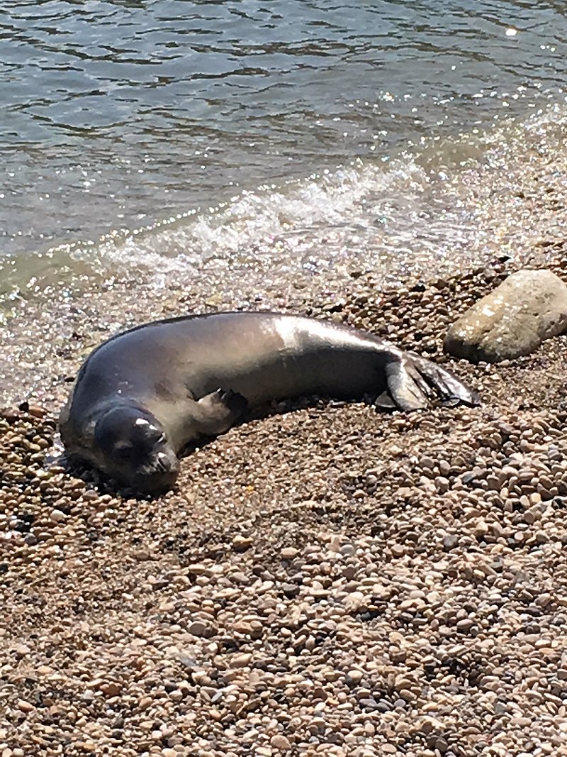  [���������]