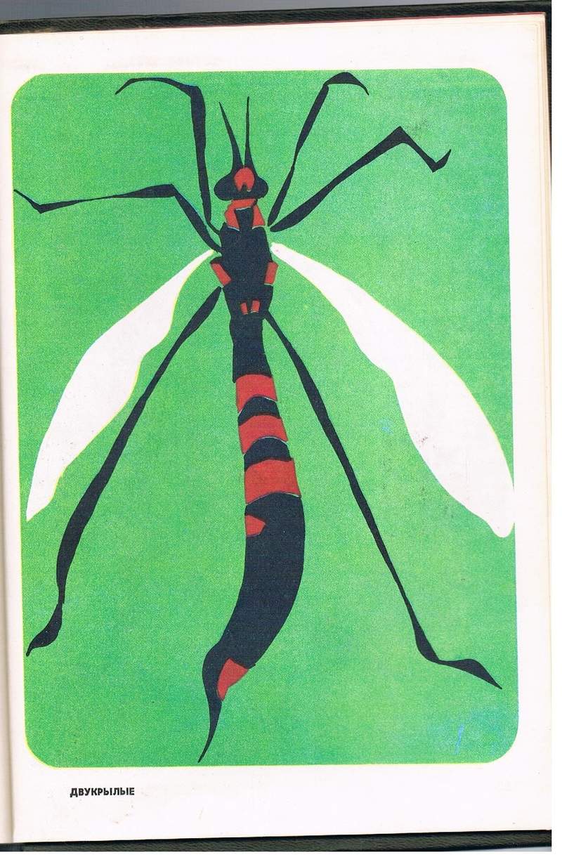 ��������� �������� [�. ���������]