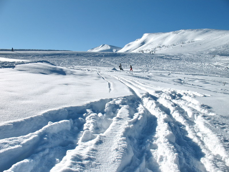 �������! []