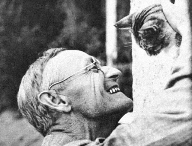 ������ ����� � ������� [���� �� ���������]