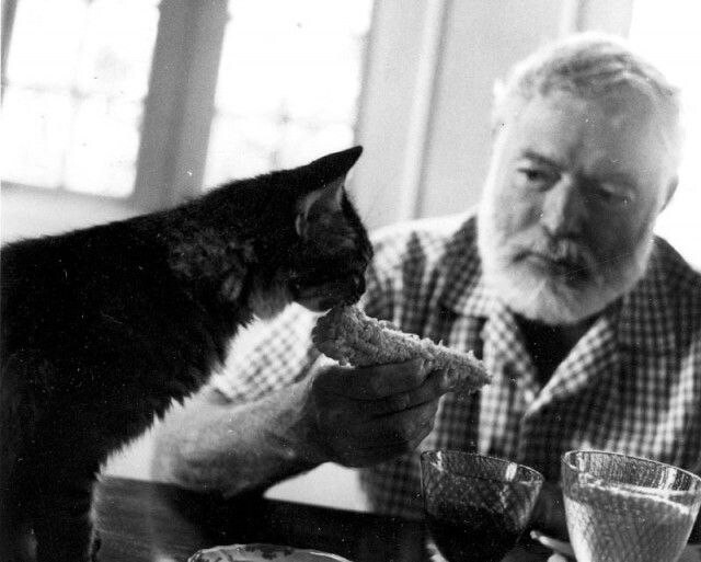 ������ ��������� � ������ [���� �� ���������]